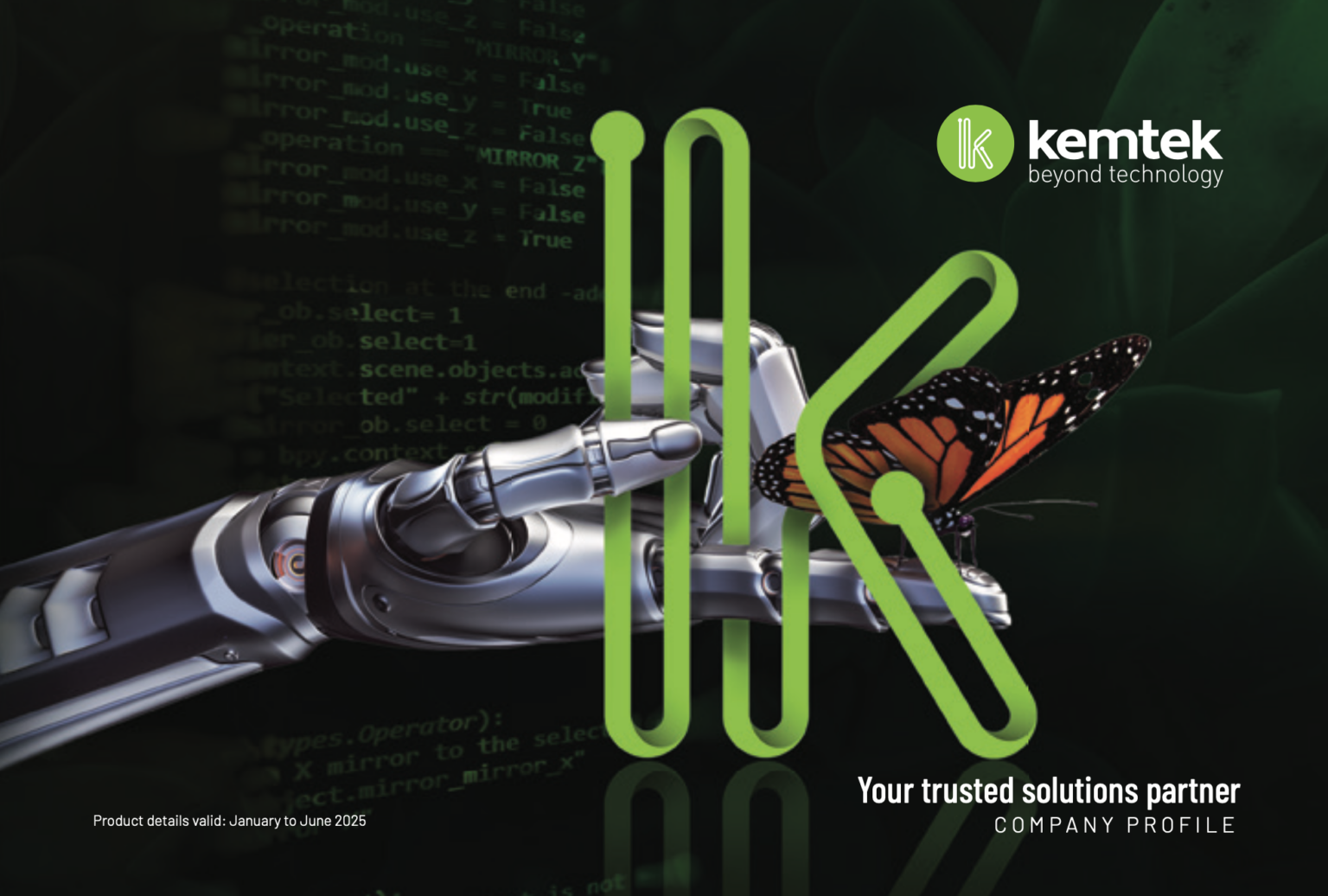 Technology Solutions Provider | Kemtek